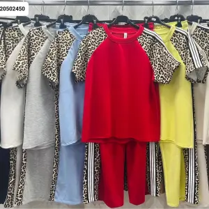 Conjunto 